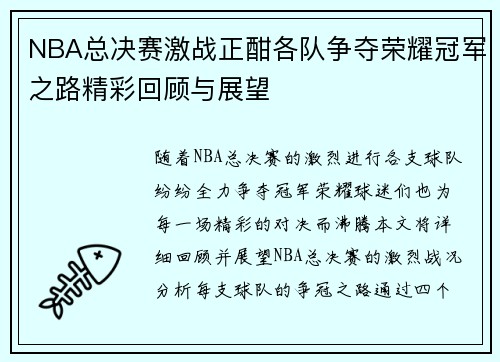 NBA总决赛激战正酣各队争夺荣耀冠军之路精彩回顾与展望